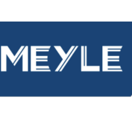 Crédit photo : Meyle 