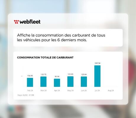 Crédits : Webfleet